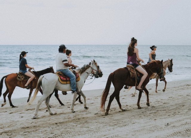 Guia de Turismo Equestre