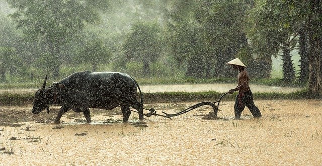 Como é trabalhar na agricultura