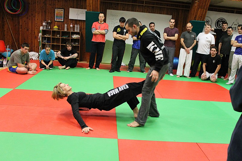 Professor de Krav Maga